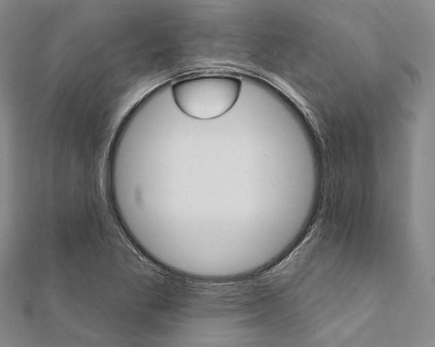 X0000112061269200908041003