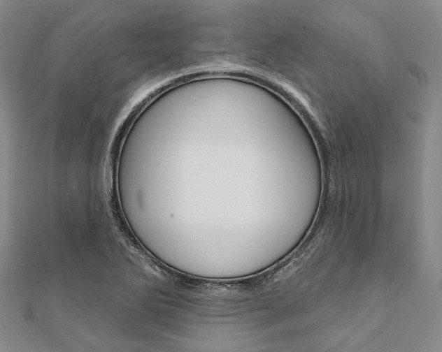 X0000112061270200908041003