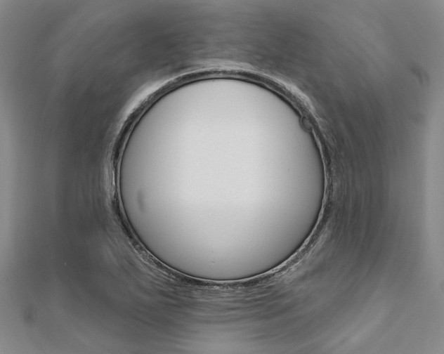 X0000112061271200908041003