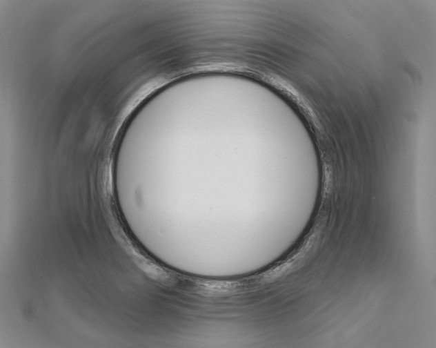 X0000112061274200908041003