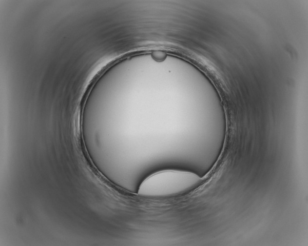 X0000112061275200908041003