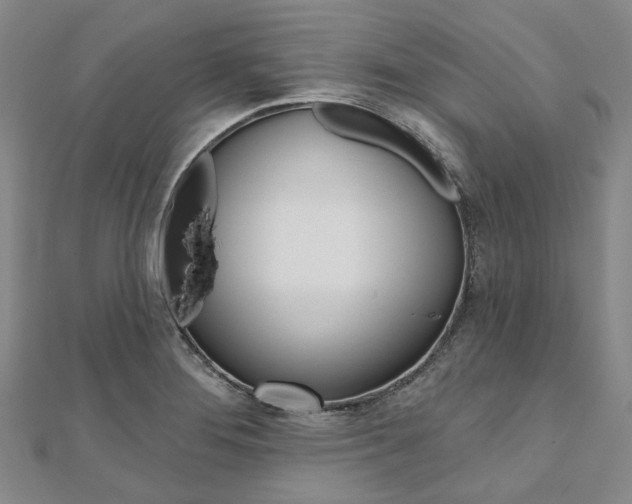 X0000112061276200908041003