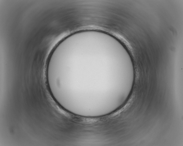 X0000112061278200908041003