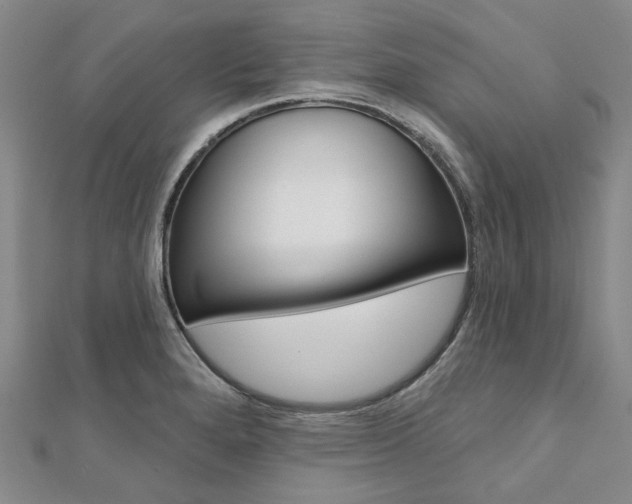 X0000112061280200908041003