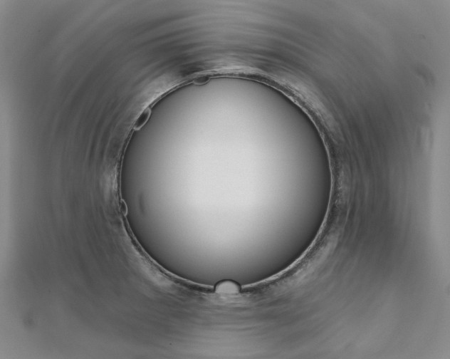 X0000112061281200908041003