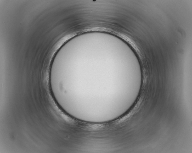 X0000112061282200908041003