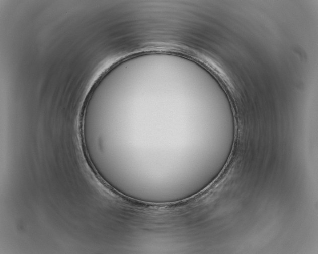 X0000112061283200908041003