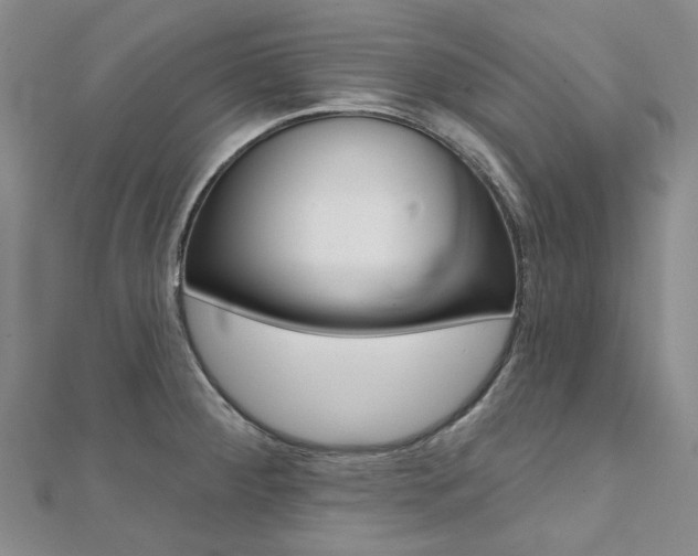 X0000112061284200908041003