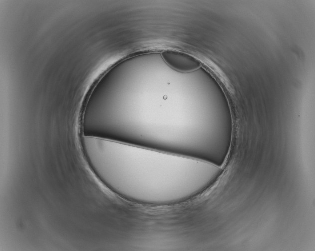 X0000112061285200908041003