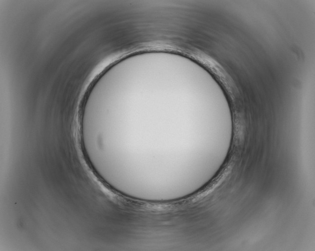 X0000112061286200908041003