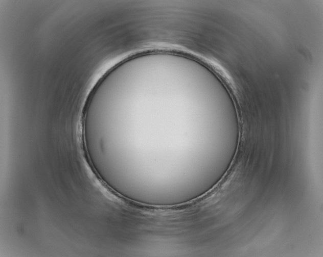 X0000112061287200908041003
