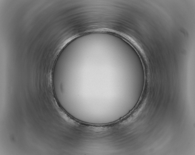 X0000112061289200908041003