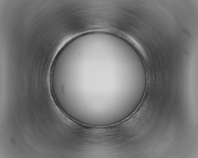 X0000112061291200908041003
