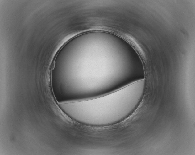 X0000112061292200908041003