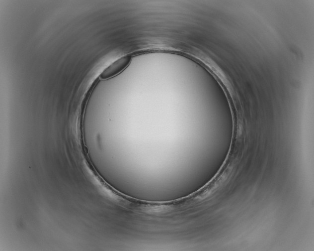 X0000112061293200908041003