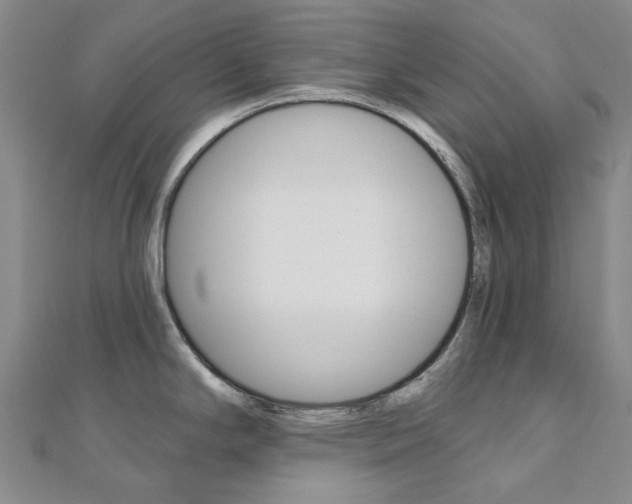 X0000112061294200908041003