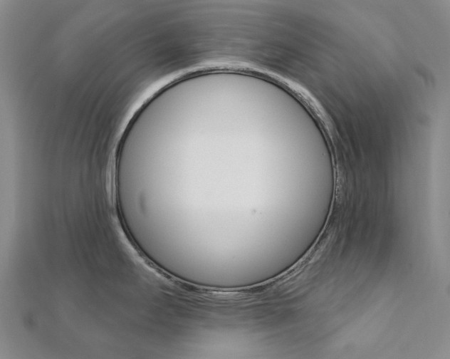 X0000112061295200908041003