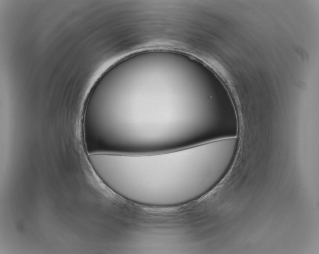 X0000112061296200908041003