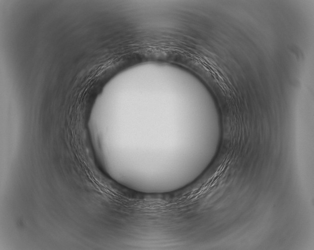 X0000112061297200908041002