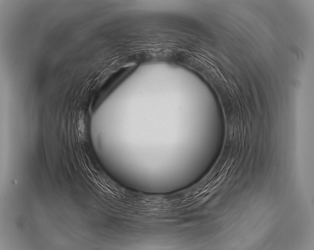 X0000112061298200908041002