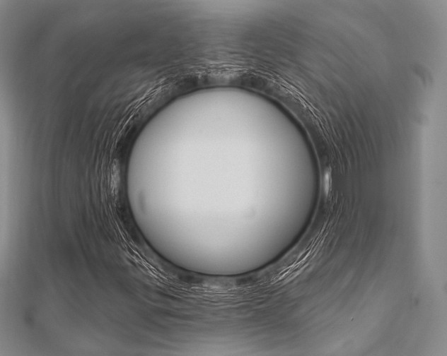 X0000112061299200908041002