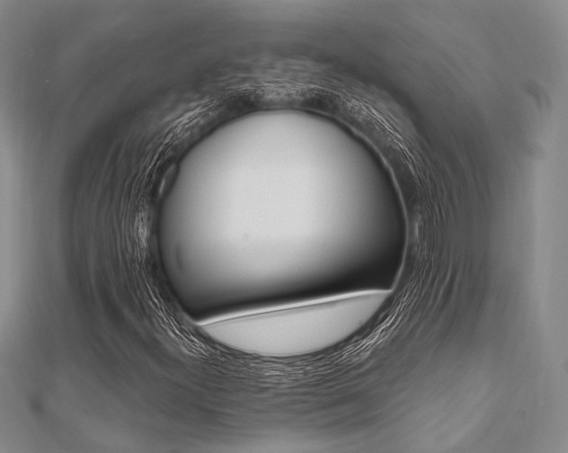X0000112061300200908041002