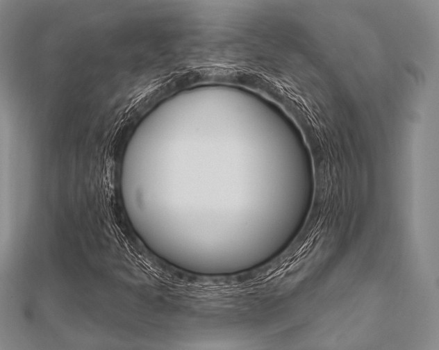 X0000112061301200908041002