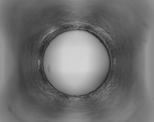 X0000112061302200908041002