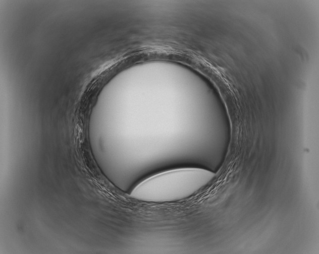 X0000112061303200908041002