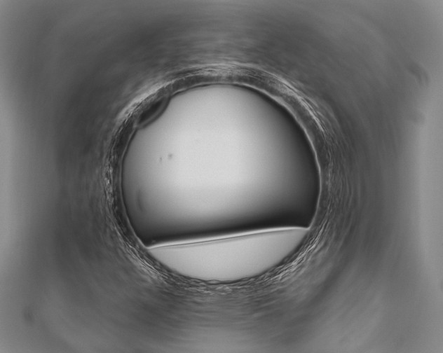 X0000112061304200908041002