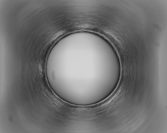 X0000112061305200908041002