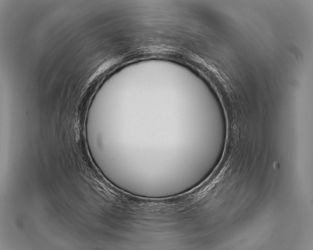 X0000112061306200908041002
