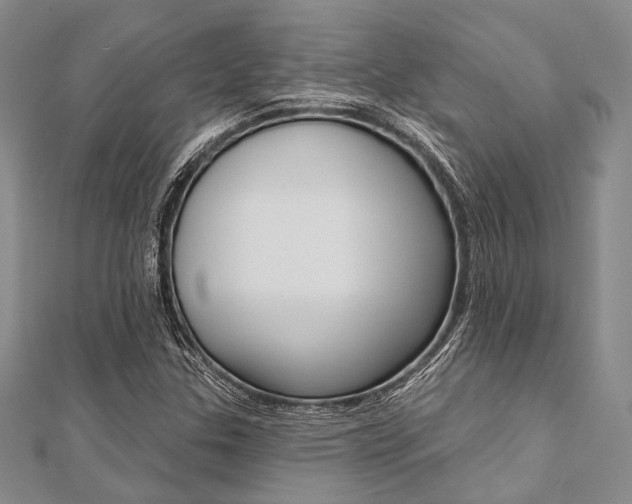 X0000112061307200908041002