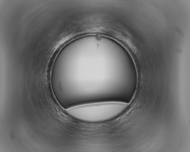 X0000112061308200908041002