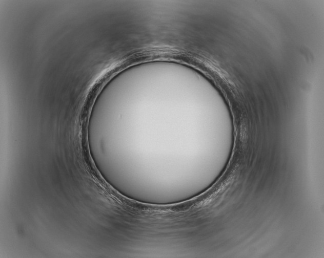 X0000112061309200908041002