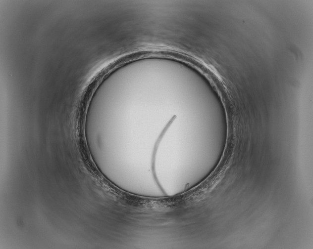 X0000112061311200908041002