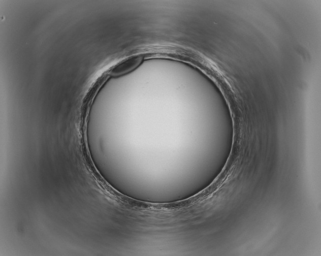 X0000112061312200908041002