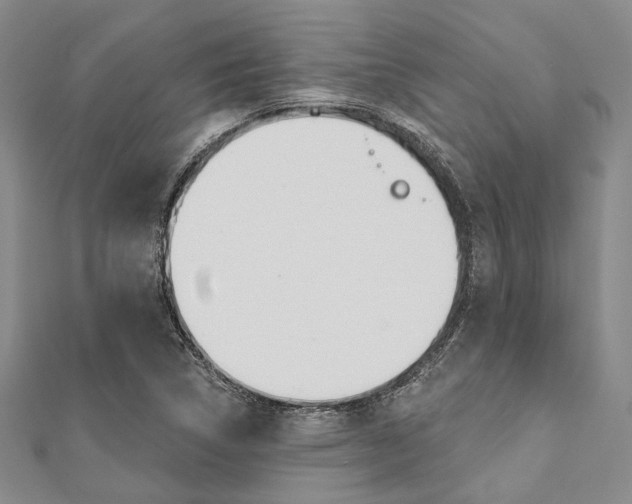 X0000112061314200908041002