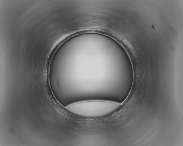 X0000112061316200908041002