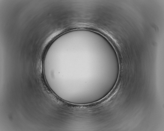 X0000112061317200908041002