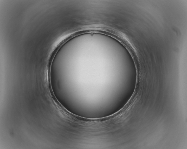 X0000112061320200908041002