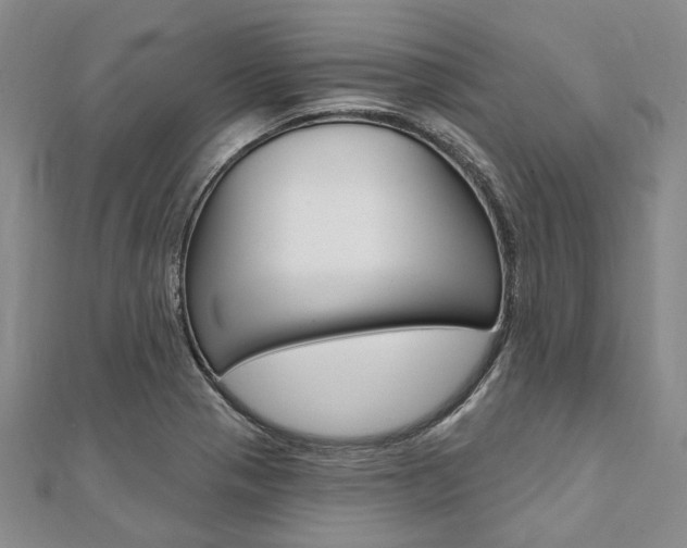 X0000112061321200908041002