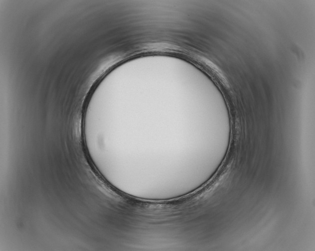 X0000112061322200908041002