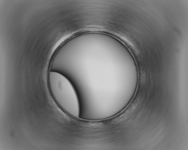 X0000112061325200908041002