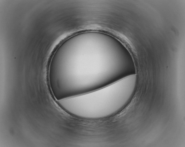 X0000112061326200908041002