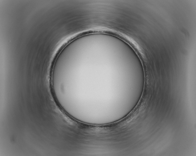 X0000112061327200908041002