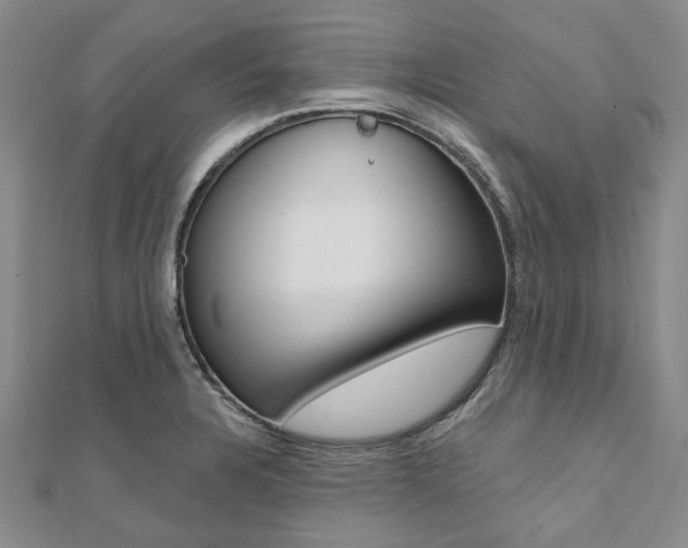 X0000112061328200908041002