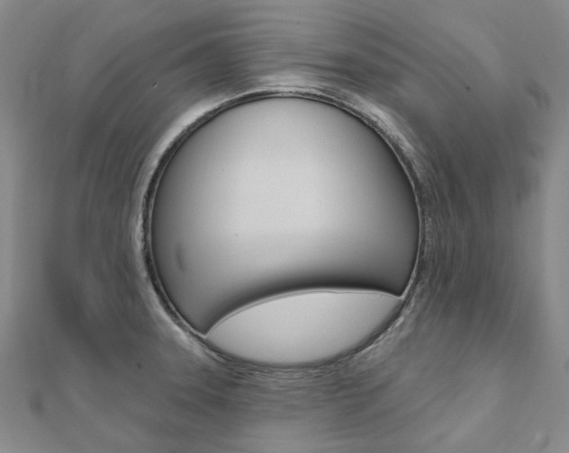 X0000112061331200908041002