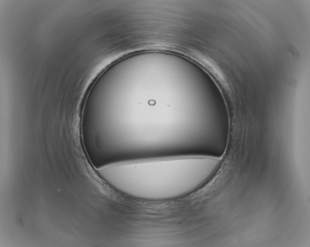 X0000112061332200908041002