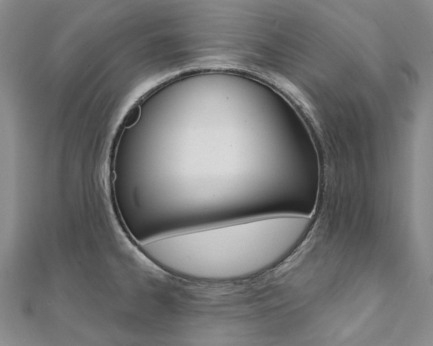 X0000112061334200908041002